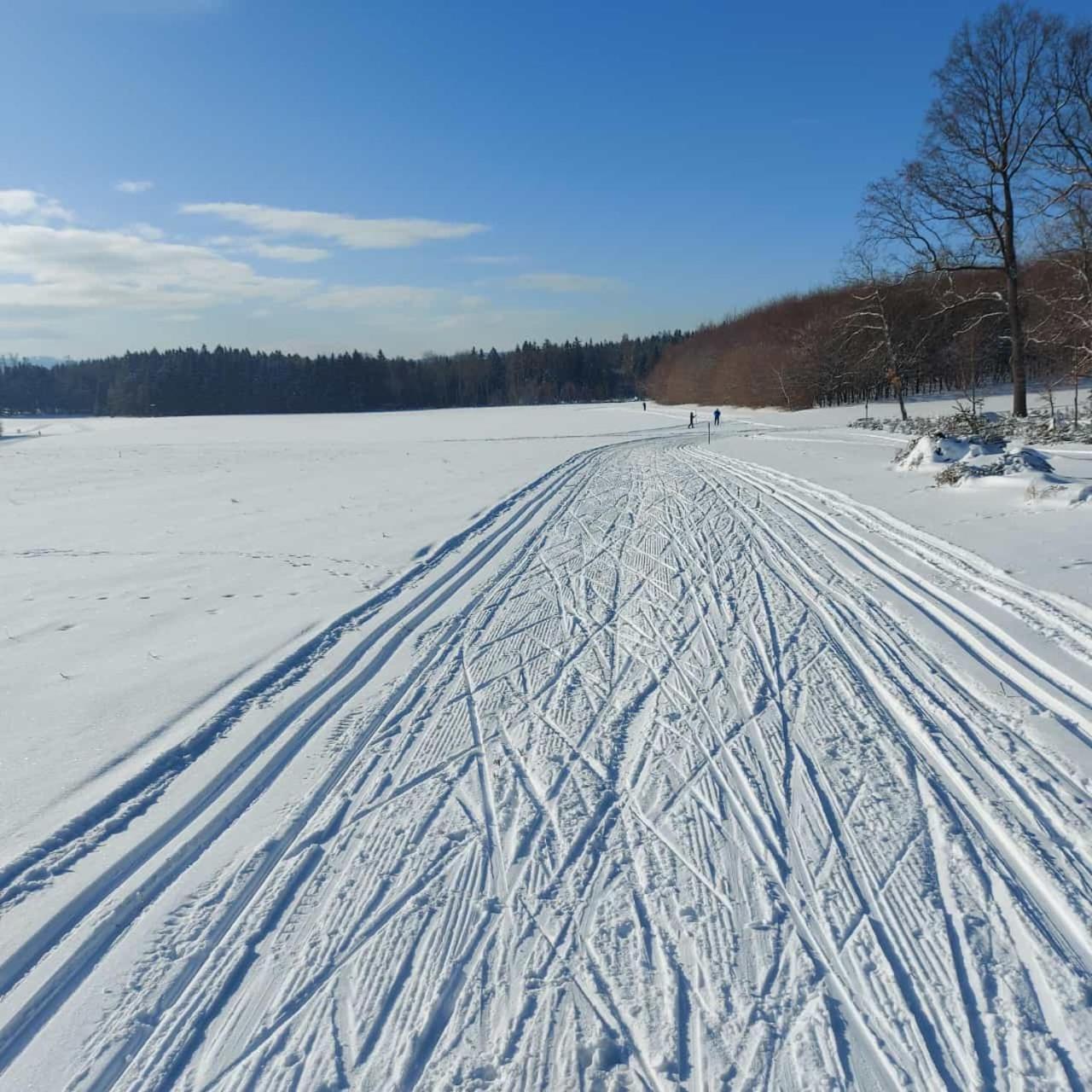 Ferienwohnung - Landhotel Waldschloesschen Sohland an der Spree ภายนอก รูปภาพ