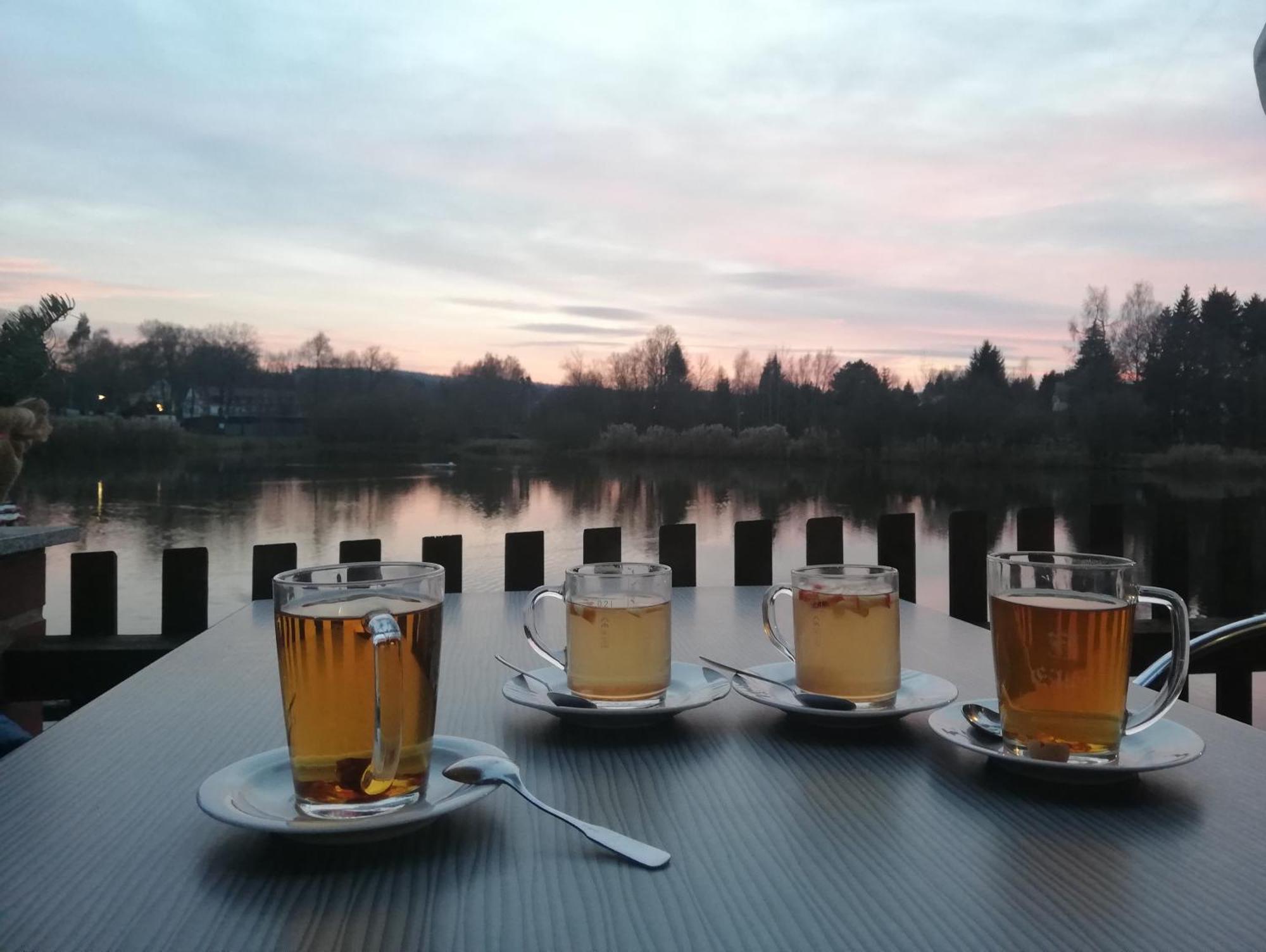 Ferienwohnung - Landhotel Waldschloesschen Sohland an der Spree ภายนอก รูปภาพ