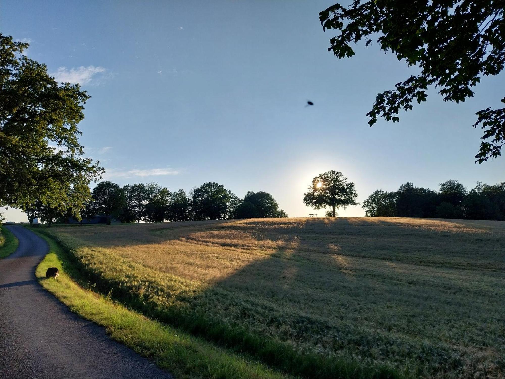 Ferienwohnung - Landhotel Waldschloesschen Sohland an der Spree ภายนอก รูปภาพ